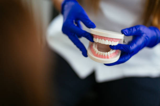 Best Dental Fillings (Composite and Amalgam)  in Suitland, MD